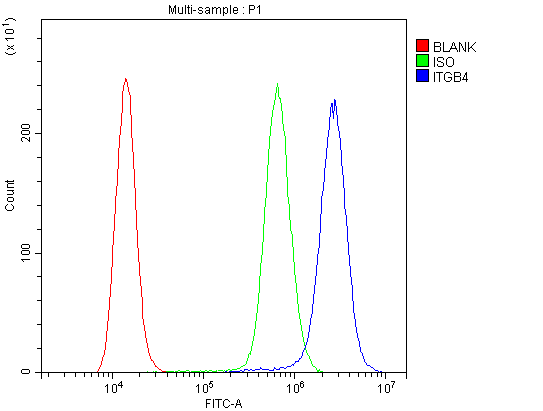 Flow Cytometry analysis of A431 cells using anti-ITGB4 antibody (PB9007). Overlay histogram showing A431 cells stained with PB9007 (Blue line).The cells were blocked with 10% normal goat serum. And then incubated with rabbit anti-ITGB4 Antibody (PB9007,1μg/1x106 cells) for 30 min at 20°C. DyLight®488 conjugated goat anti-rabbit IgG (BA1127, 5-10μg/1x106 cells) was used as secondary antibody for 30 minutes at 20°C. Isotype control antibody (Green line) was rabbit IgG (1μg/1x106) used under the same conditions. Unlabelled sample (Red line) was also used as a control.