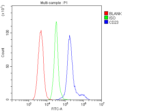 Flow Cytometry analysis of mouse PBMC cells using anti-CD23 antibody (PB9051). Overlay histogram showing mouse PBMC cells stained with PB9051 (Blue line).The cells were blocked with 10% normal goat serum. And then incubated with rabbit anti-CD23 Antibody PB9051,1μg/1x106 cells) for 30 min at 20°C. DyLight488 conjugated goat anti-rabbit IgG (BA1127, 5-10μg/1x106 cells) was used as secondary antibody for 30 minutes at 20°C. Isotype control antibody (Green line) was rabbit IgG (1μg/1x106) used under the same conditions. Unlabelled sample (Red line) was also used as a control.