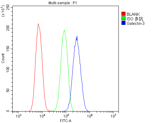 Flow Cytometry analysis of U20S cells using anti-Galectin-3 antibody (PB9081). Overlay histogram showing U20S cells stained with PB9081 (Blue line).The cells were blocked with 10% normal goat serum. And then incubated with rabbit anti-Galectin-3 Antibody (PB9081,1μg/1x106 cells) for 30 min at 20°C. DyLight®488 conjugated goat anti-rabbit IgG (BA1127, 5-10μg/1x106 cells) was used as secondary antibody for 30 minutes at 20°C. Isotype control antibody (Green line) was rabbit IgG (1μg/1x106) used under the same conditions. Unlabelled sample (Red line) was also used as a control.