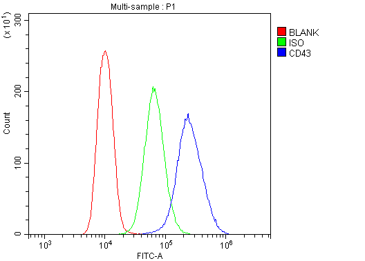 Flow Cytometry analysis of P3NSI cells using anti-CD43 antibody (PB9095). Overlay histogram showing P3NSI cells stained with PB9095 (Blue line).The cells were blocked with 10% normal goat serum. And then incubated with rabbit anti-CD43 Antibody (PB9095,1μg/1x106 cells) for 30 min at 20°C. DyLight®488 conjugated goat anti-rabbit IgG (BA1127, 5-10μg/1x106 cells) was used as secondary antibody for 30 minutes at 20°C. Isotype control antibody (Green line) was rabbit IgG (1μg/1x106) used under the same conditions. Unlabelled sample (Red line) was also used as a control.