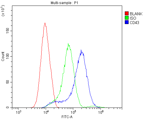 Flow Cytometry analysis of BRL cells using anti-CD43 antibody (PB9095). Overlay histogram showing BRL cells stained with PB9095 (Blue line).The cells were blocked with 10% normal goat serum. And then incubated with rabbit anti-CD43 Antibody (PB9095,1μg/1x106 cells) for 30 min at 20°C. DyLight®488 conjugated goat anti-rabbit IgG (BA1127, 5-10μg/1x106 cells) was used as secondary antibody for 30 minutes at 20°C. Isotype control antibody (Green line) was rabbit IgG (1μg/1x106) used under the same conditions. Unlabelled sample (Red line) was also used as a control.