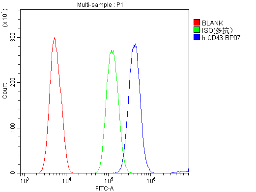 Flow Cytometry analysis of HL-60 cells using anti-CD43 antibody (PB9095). Overlay histogram showing HL-60 cells stained with PB9095 (Blue line).The cells were blocked with 10% normal goat serum. And then incubated with rabbit anti-CD43 Antibody (PB9095,1μg/1x106 cells) for 30 min at 20°C. DyLight®488 conjugated goat anti-rabbit IgG (BA1127, 5-10μg/1x106 cells) was used as secondary antibody for 30 minutes at 20°C. Isotype control antibody (Green line) was rabbit IgG (1μg/1x106) used under the same conditions. Unlabelled sample (Red line) was also used as a control.