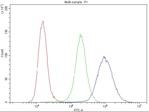 Flow Cytometry analysis of THP-1 cells using anti-CCNB1 antibody (PB9104).