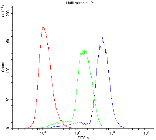 Flow Cytometry analysis of U937 cells using anti-HOXA11 antibody (PB9218). Overlay histogram showing U937 cells stained with PB9218 (Blue line).The cells were blocked with 10% normal goat serum. And then incubated with rabbit anti-HOXA11 Antibody (PB9218,1μg/1x106 cells) for 30 min at 20°C. DyLight®488 conjugated goat anti-rabbit IgG (BA1127, 5-10μg/1x106 cells) was used as secondary antibody for 30 minutes at 20°C. Isotype control antibody (Green line) was rabbit IgG (1μg/1x106) used under the same conditions. Unlabelled sample (Red line) was also used as a control.