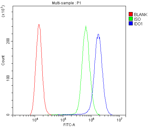 Flow Cytometry analysis of A431 cells using anti-IDO1 antibody (PB9603). Overlay histogram showing A431 cells stained with PB9603 (Blue line).The cells were blocked with 10% normal goat serum. And then incubated with rabbit anti-IDO1 Antibody (PB9603,1μg/1x106 cells) for 30 min at 20°C. DyLight®488 conjugated goat anti-rabbit IgG (BA1127, 5-10μg/1x106 cells) was used as secondary antibody for 30 minutes at 20°C. Isotype control antibody (Green line) was rabbit IgG (1μg/1x106) used under the same conditions. Unlabelled sample (Red line) was also used as a control.