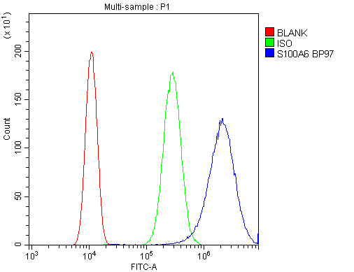 Flow Cytometry analysis of SiHa cells using anti-S100A6 antibody (PB9676). Overlay histogram showing SiHa cells stained with PB9676 (Blue line).The cells were blocked with 10% normal goat serum. And then incubated with rabbit anti-S100A6 Antibody (PB9676,1μg/1x106 cells) for 30 min at 20°C. DyLight®488 conjugated goat anti-rabbit IgG (BA1127, 5-10μg/1x106 cells) was used as secondary antibody for 30 minutes at 20°C. Isotype control antibody (Green line) was rabbit IgG (1μg/1x106) used under the same conditions. Unlabelled sample (Red line) was also used as a control.