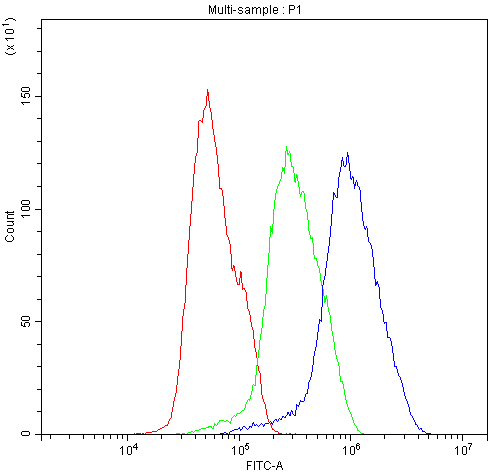 Flow Cytometry analysis of MCF-7 cells using anti-BIK antibody (PB9755). Overlay histogram showing MCF-7 cells stained with PB9755 (Blue line).The cells were blocked with 10% normal goat serum. And then incubated with rabbit anti-BIK Antibody (PB9755,1μg/1x106 cells) for 30 min at 20°C. DyLight®488 conjugated goat anti-rabbit IgG (BA1127, 5-10μg/1x106 cells) was used as secondary antibody for 30 minutes at 20°C. Isotype control antibody (Green line) was rabbit IgG (1μg/1x106) used under the same conditions. Unlabelled sample (Red line) was also used as a control.