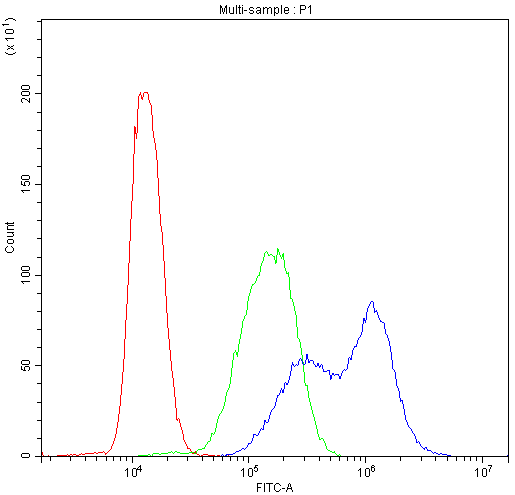 Flow Cytometry analysis of THP-1 cells using anti-BIK antibody (PB9755). Overlay histogram showing THP-1 cells stained with PB9755 (Blue line).The cells were blocked with 10% normal goat serum. And then incubated with rabbit anti-BIK Antibody (PB9755,1μg/1x106 cells) for 30 min at 20°C. DyLight®488 conjugated goat anti-rabbit IgG (BA1127, 5-10μg/1x106 cells) was used as secondary antibody for 30 minutes at 20°C. Isotype control antibody (Green line) was rabbit IgG (1μg/1x106) used under the same conditions. Unlabelled sample (Red line) was also used as a control.