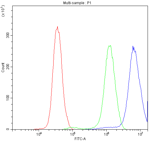 Flow Cytometry analysis of PC-3 cells using anti-CCT4 antibody (PB9927). Overlay histogram showing PC-3 cells stained with PB9927 (Blue line).The cells were blocked with 10% normal goat serum. And then incubated with rabbit anti-CCT4 Antibody (PB9927,1μg/1x106 cells) for 30 min at 20°C. DyLight®488 conjugated goat anti-rabbit IgG (BA1127, 5-10μg/1x106 cells) was used as secondary antibody for 30 minutes at 20°C. Isotype control antibody (Green line) was rabbit IgG (1μg/1x106) used under the same conditions. Unlabelled sample (Red line) was also used as a control