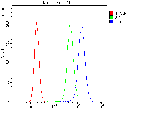 Flow Cytometry analysis of A431 cells using anti-CCT5 antibody (PB9928). Overlay histogram showing A431 cells stained with PB9928 (Blue line).The cells were blocked with 10% normal goat serum. And then incubated with rabbit anti-CCT5 Antibody (PB9928,1μg/1x106 cells) for 30 min at 20°C. DyLight®488 conjugated goat anti-rabbit IgG (BA1127, 5-10μg/1x106 cells) was used as secondary antibody for 30 minutes at 20°C. Isotype control antibody (Green line) was rabbit IgG (1μg/1x106) used under the same conditions. Unlabelled sample (Red line) was also used as a control.