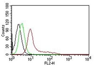 Recombinant Anti-Menin antibody [EPR3986] KO Tested (ab92443)