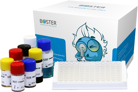 Bosterbio Antibodies Elisa Kits Detection Kits