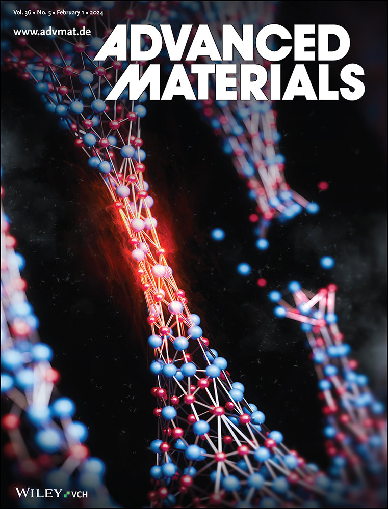 cover 1