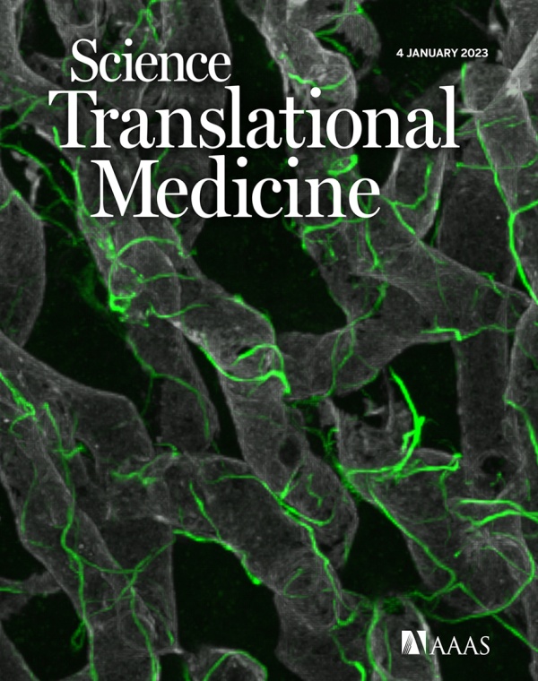 cover2