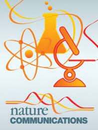 cover4