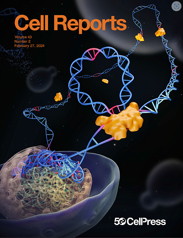 cover2
