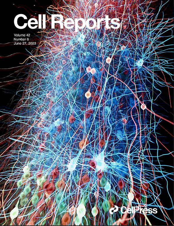 cover3