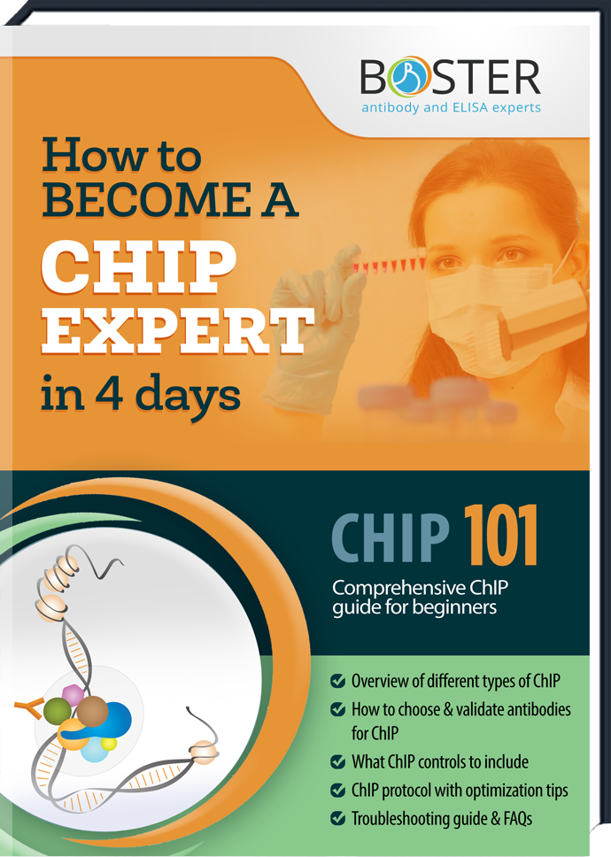 ChIP Handbook