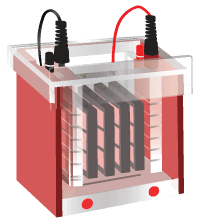 Westren Blotting Icon