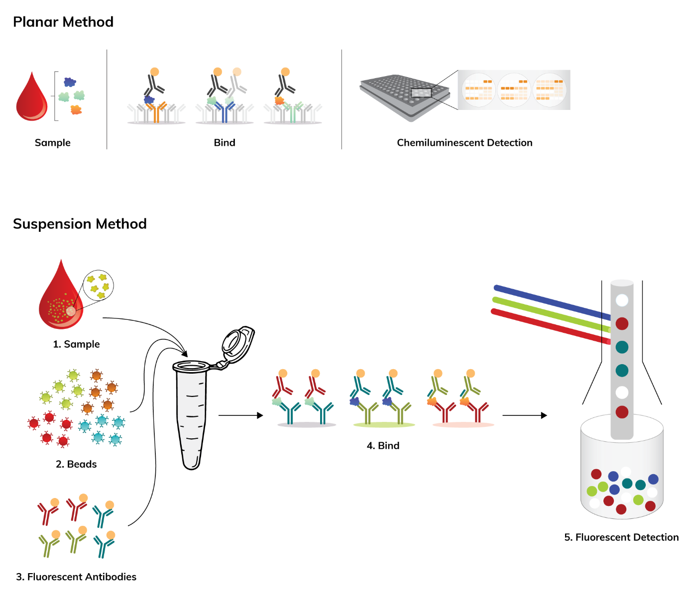 Multiplex Assay Services  Boster Bio