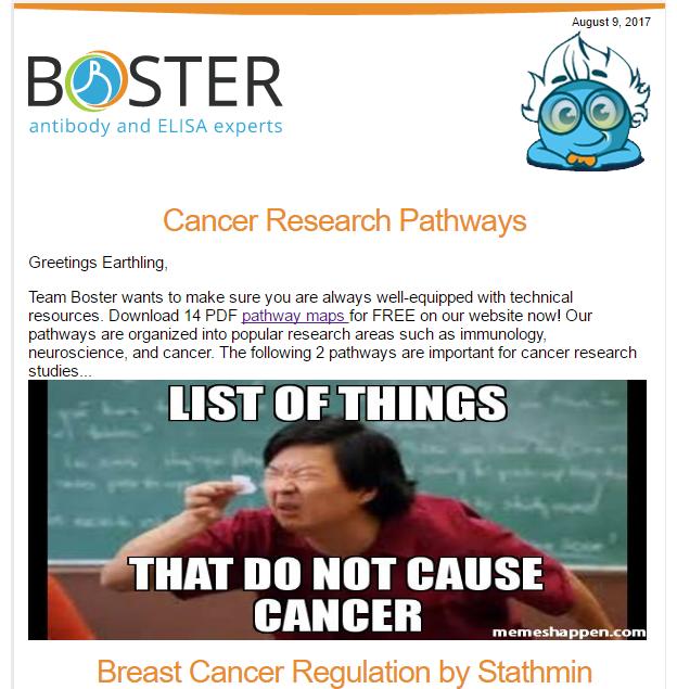 Cancer research pathways free PDFs newsletter thumbnail