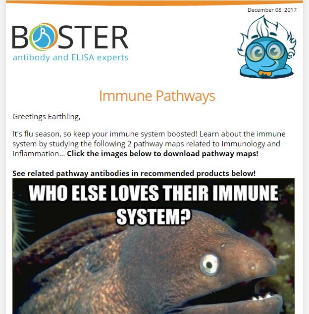 Who loves their immune system newsletter thumbnail