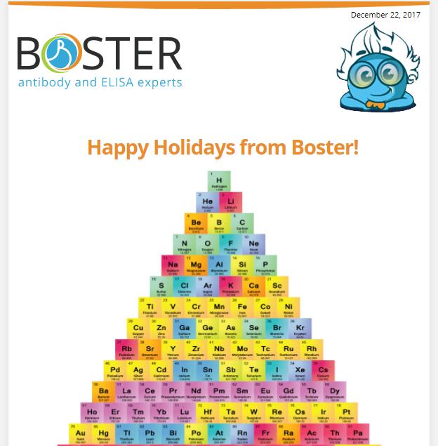 Happy Holidays from Boster Bio newsletter thumbnail