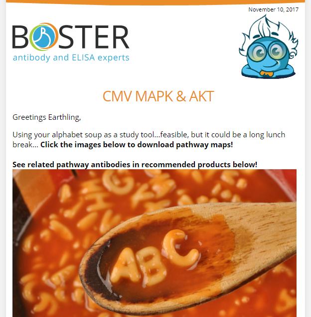 Your monthly signaling pathway posters newsletter thumbnail