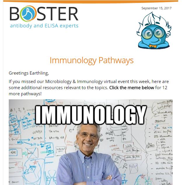 Download 2 immunology pathway PDFs here newsletter thumbnail