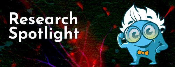 Polyamine metabolism impacts T cell dysfunction in the oral mucosa of  people living with HIV