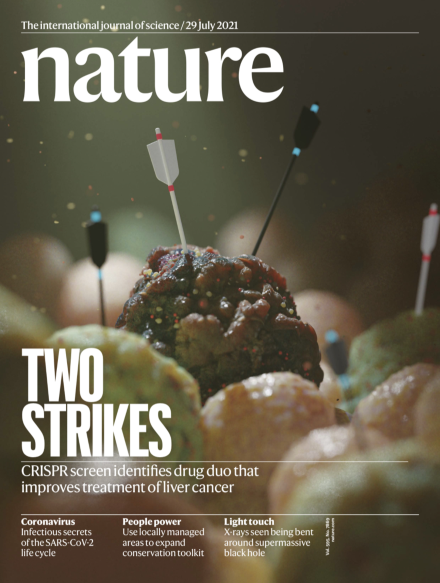 Publication cover 4