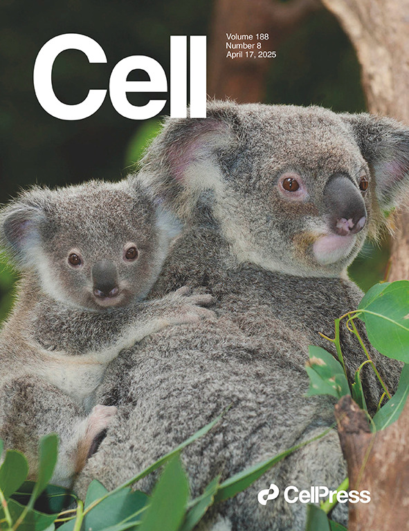 Publication cover 5
