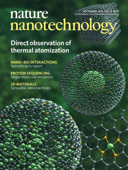 Publication cover 6
