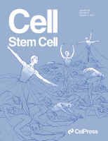 Publication cover 6